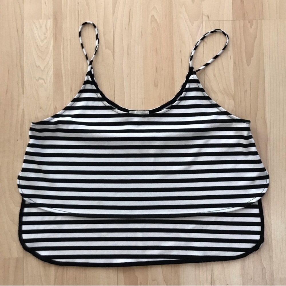 Silence + Noise Striped Crop Top
